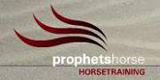 www.Prophetshorse.de